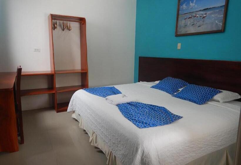 여관 La Gran Tortuga   ᯤ Starlink