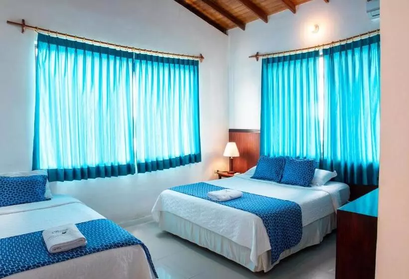 簡易ホテル La Gran Tortuga ᯤ Starlink