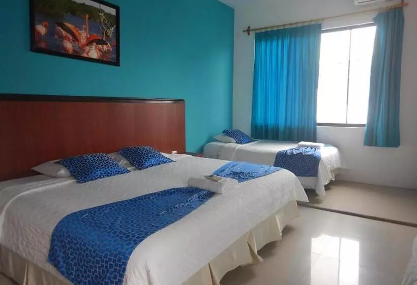 簡易ホテル La Gran Tortuga ᯤ Starlink