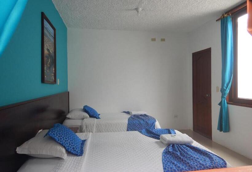 여관 La Gran Tortuga   ᯤ Starlink