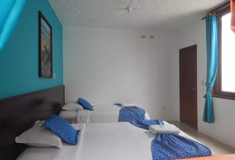 簡易ホテル La Gran Tortuga ᯤ Starlink