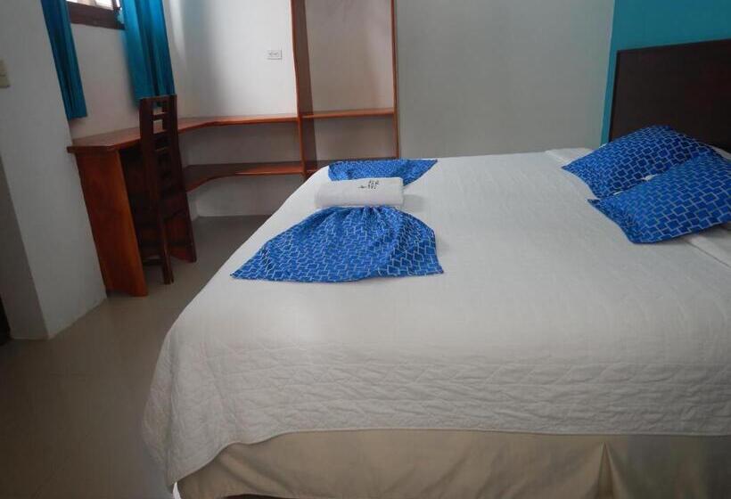 여관 La Gran Tortuga   ᯤ Starlink