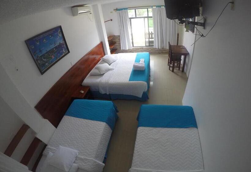 여관 La Gran Tortuga   ᯤ Starlink