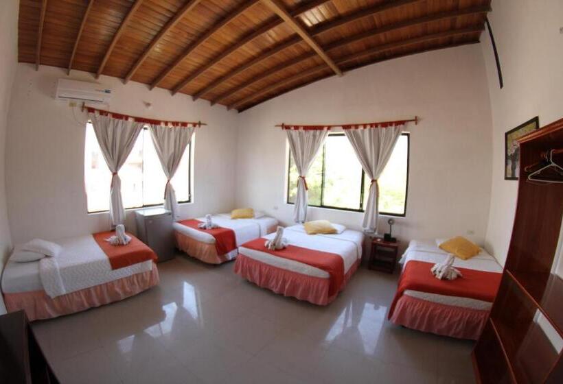 여관 La Gran Tortuga   ᯤ Starlink