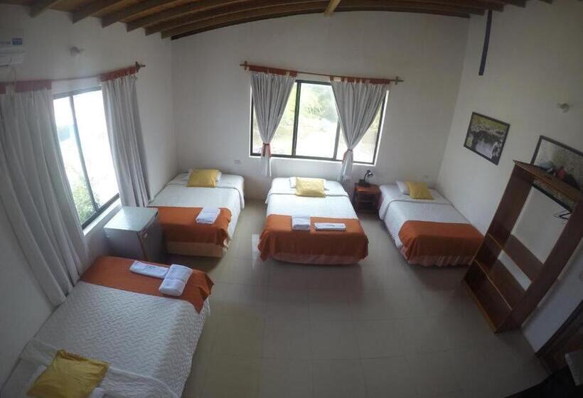 여관 La Gran Tortuga   ᯤ Starlink