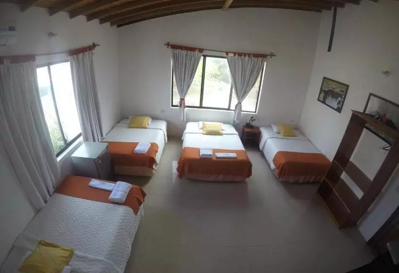 簡易ホテル La Gran Tortuga ᯤ Starlink