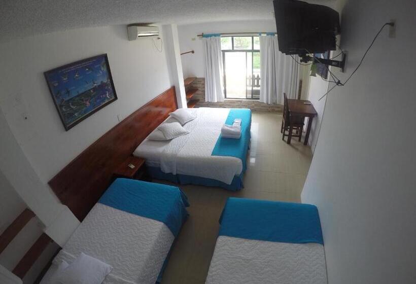 여관 La Gran Tortuga   ᯤ Starlink