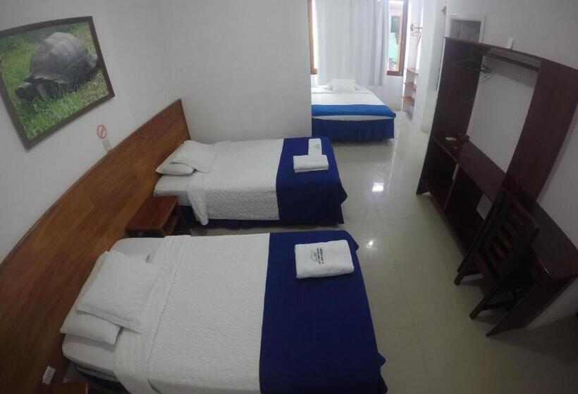 여관 La Gran Tortuga   ᯤ Starlink