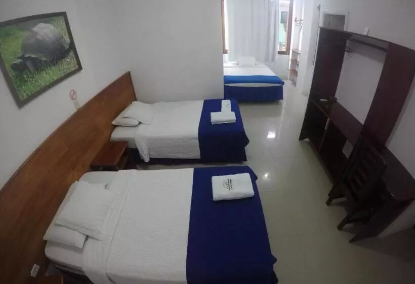 簡易ホテル La Gran Tortuga ᯤ Starlink