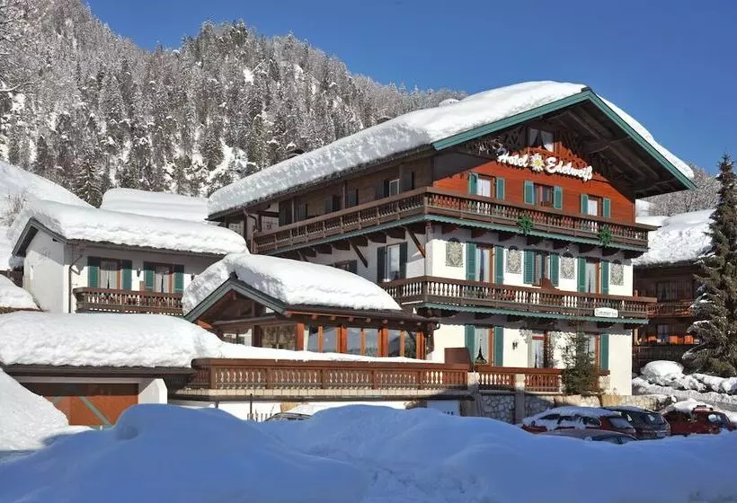Hotel Edelweiß