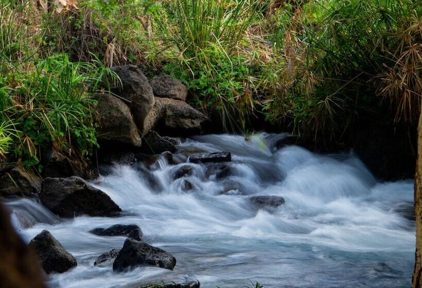 호텔 Kilaguni Serena Safari Lodge