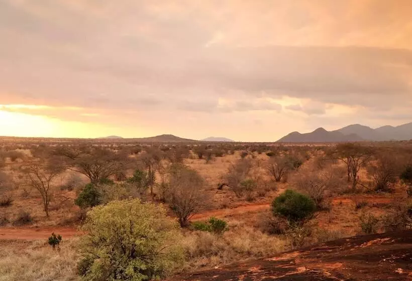 هتل Kilaguni Serena Safari Lodge