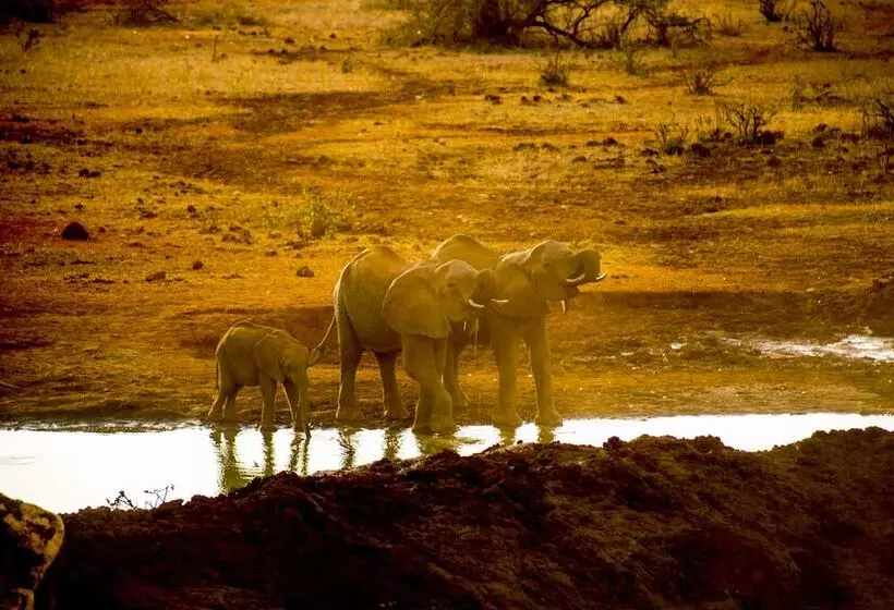 هتل Kilaguni Serena Safari Lodge