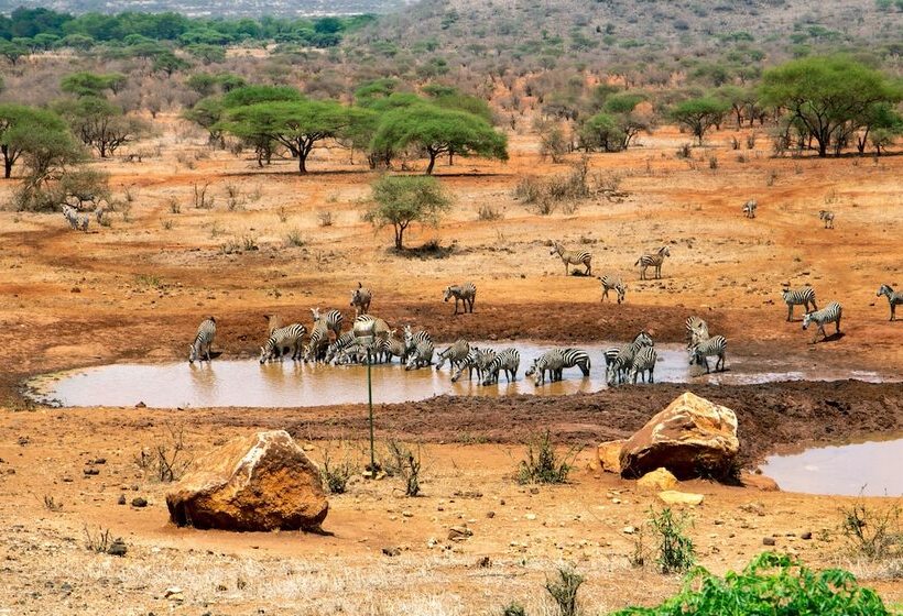 호텔 Kilaguni Serena Safari Lodge