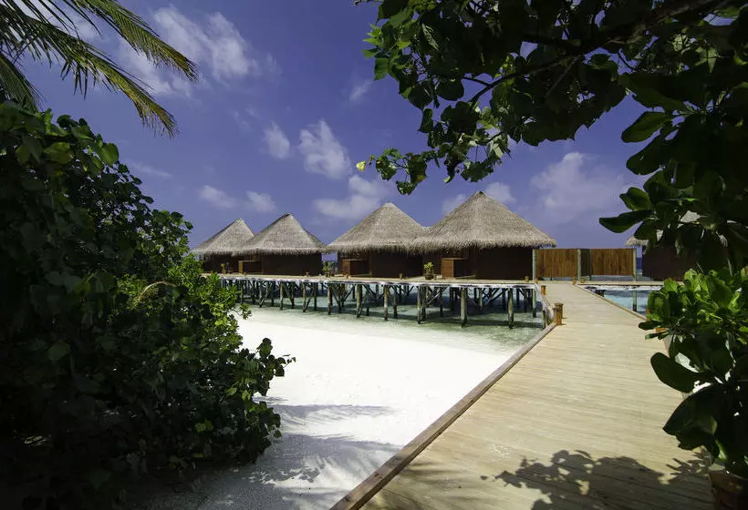 هتل Mirihi Island Resort