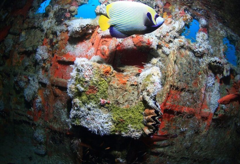 هتل Mirihi Island Resort