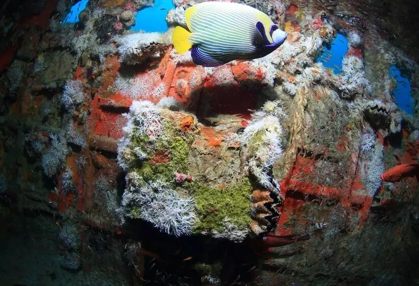 هتل Mirihi Island Resort