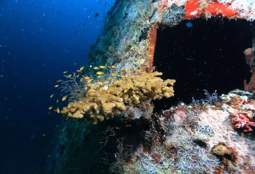 هتل Mirihi Island Resort