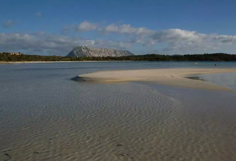تختخواب و صبحانه Monolocale Belvedere