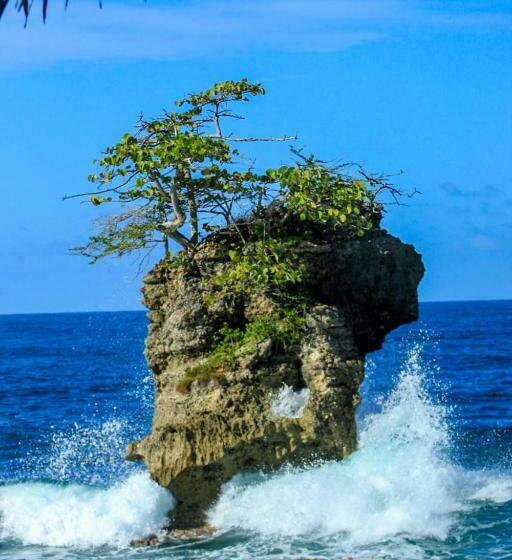 בית מלון כפרי Cabinas Mitchaelle S