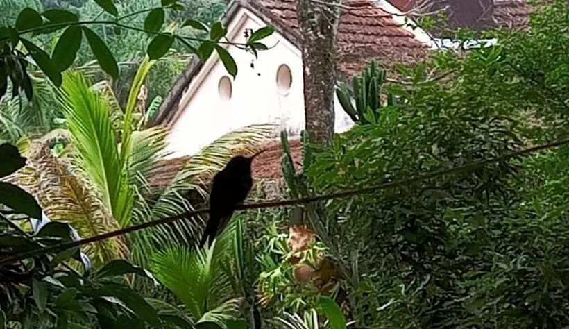 Majatalo Casa Dos Artistas