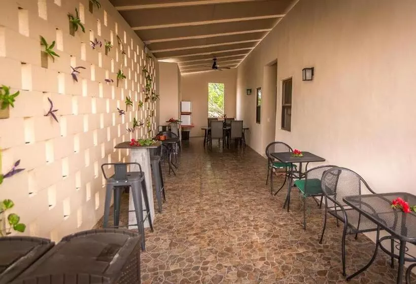 Azcapri Villa Boutique & Spa