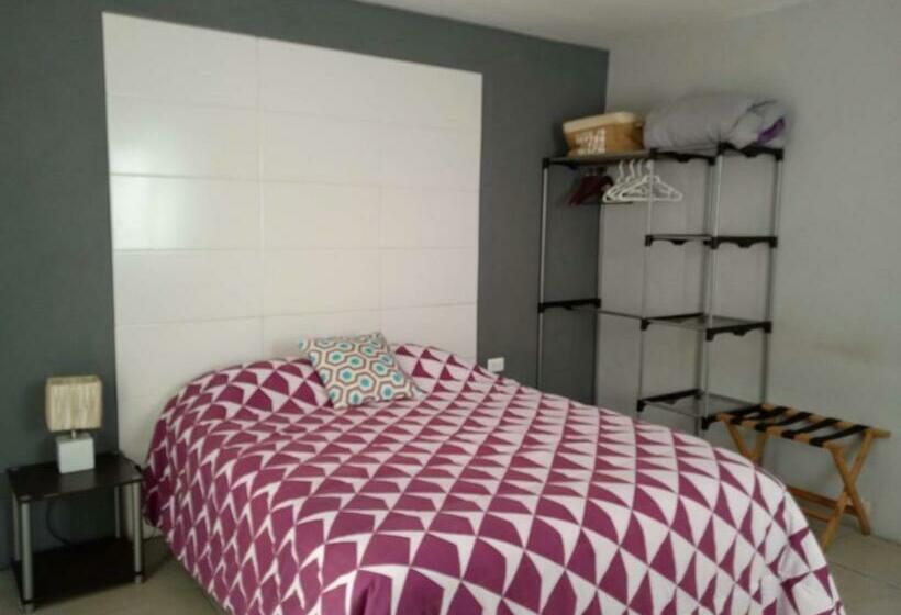 بنسيون Queen Room Private Bathroom Aa Wifi 50 Mbps In Downtown Cancun