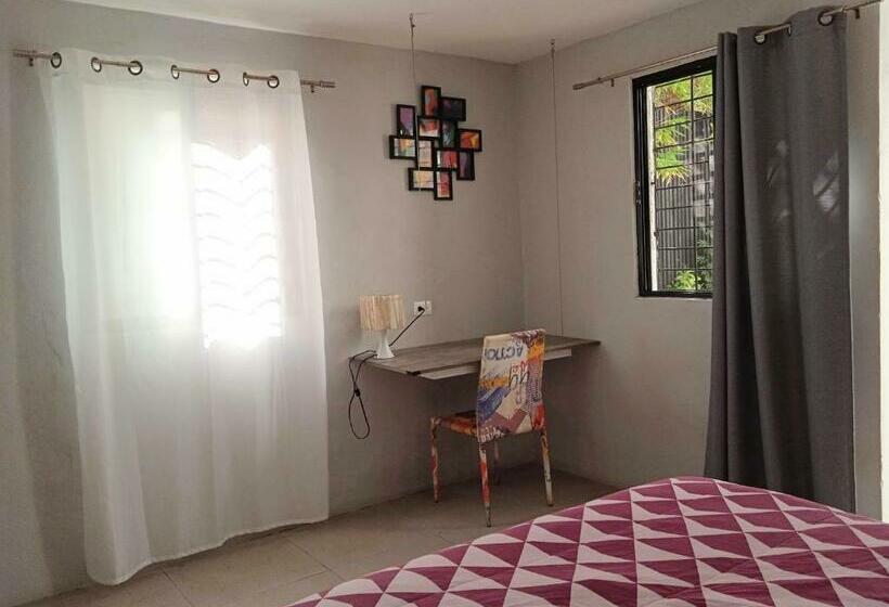 بنسيون Queen Room Private Bathroom Aa Wifi 50 Mbps In Downtown Cancun