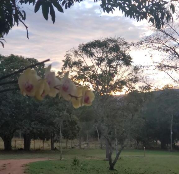 旅馆 Pousada águas Da Canastra