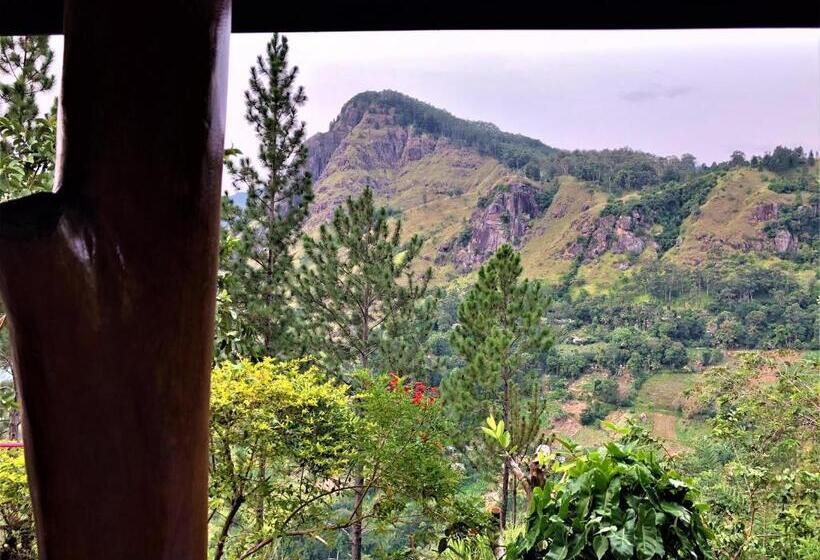 膳宿费 The Ella Valley