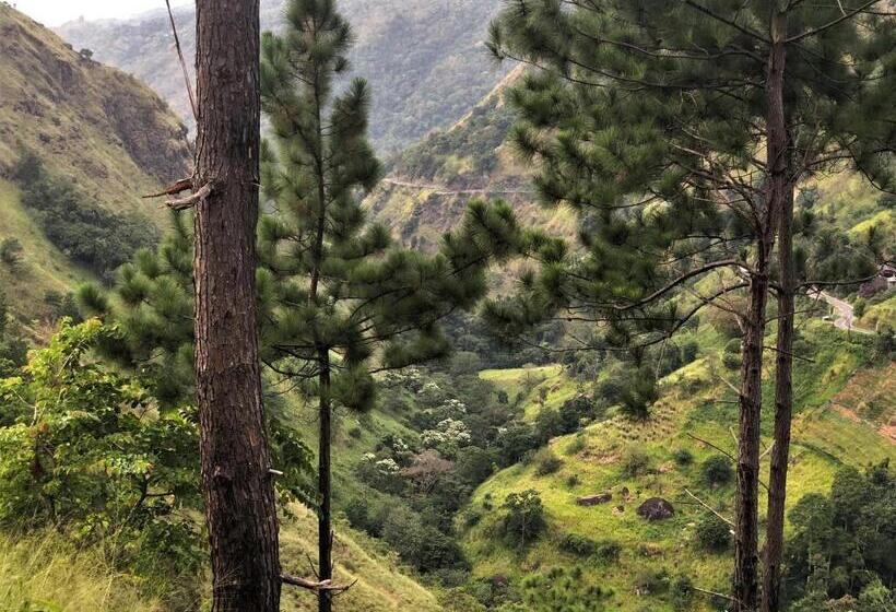 膳宿费 The Ella Valley