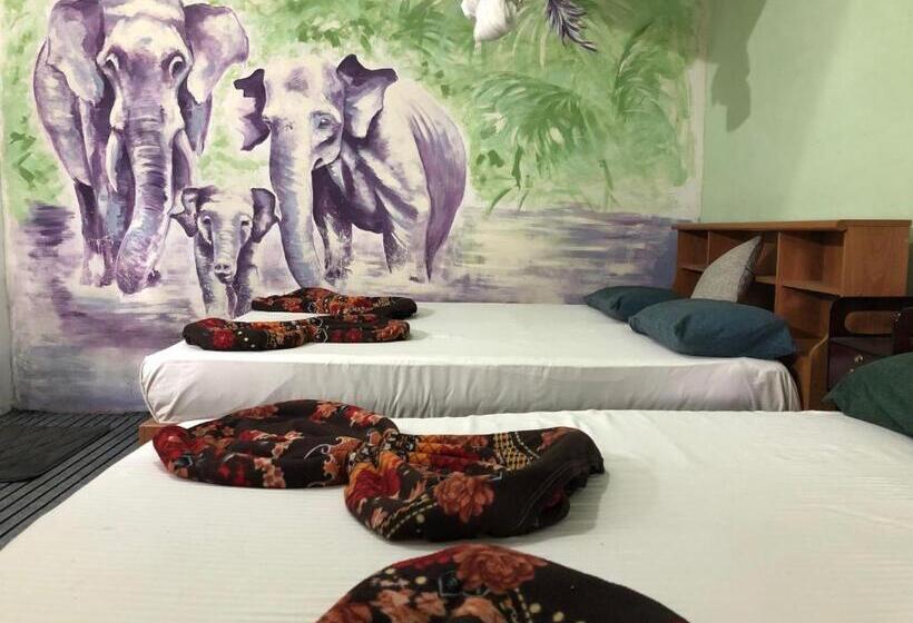 膳宿费 The Ella Valley