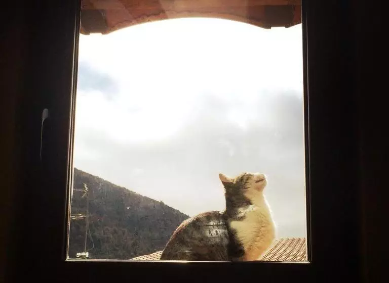 Hotelli Rural Font Del Genil