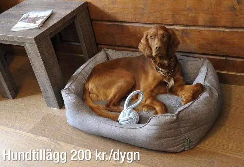 Eriksgårdens Fjällhotell