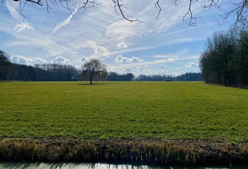 酒店 De Roode Leeuw Terborg