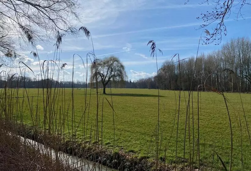 酒店 De Roode Leeuw Terborg