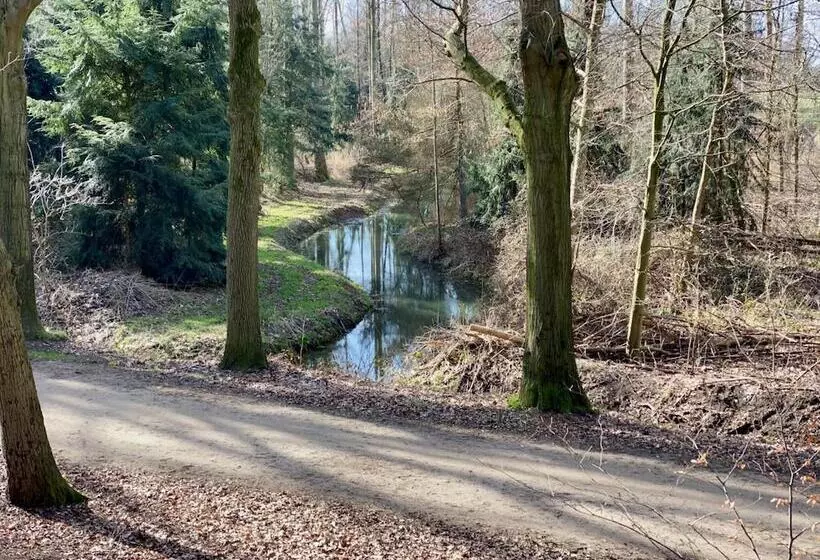 酒店 De Roode Leeuw Terborg