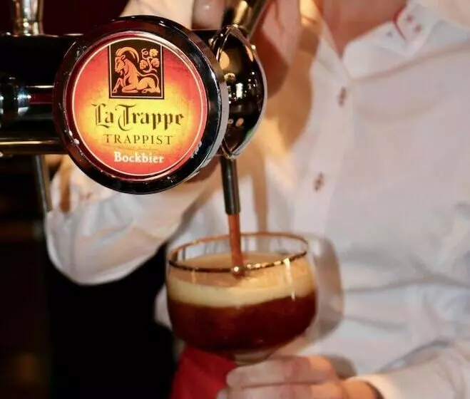 酒店 De Roode Leeuw Terborg