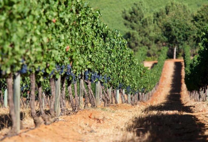 酒店 Delaire Graff Lodges And Spa