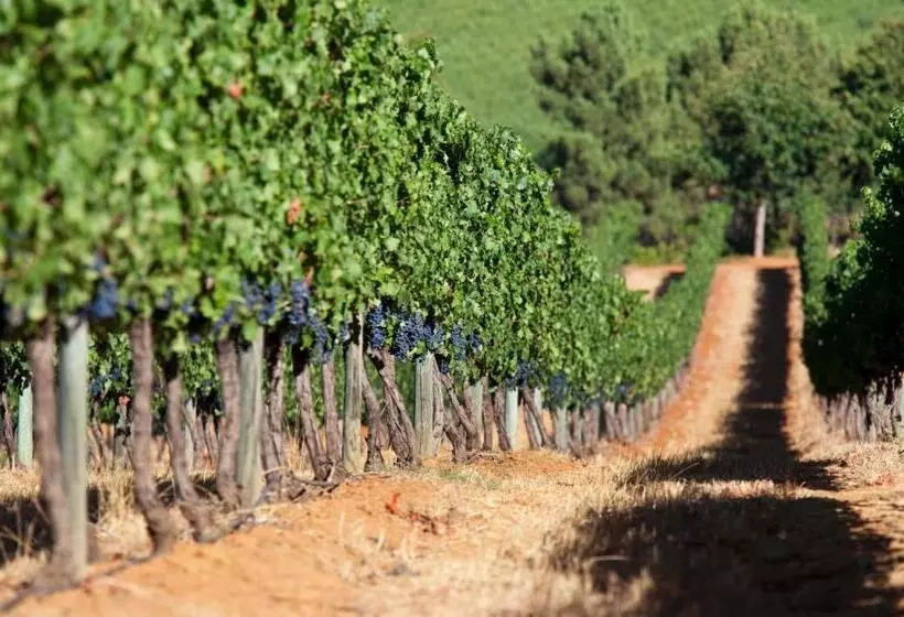 酒店 Delaire Graff Lodges And Spa