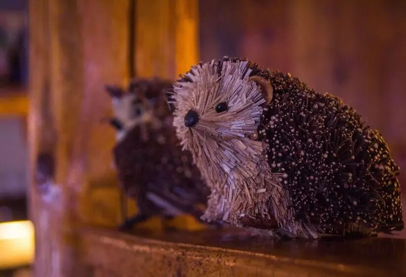 Отель Ellex Eco