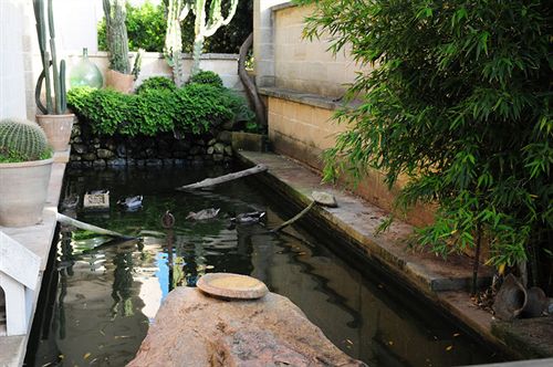 Отель Mamma Rosa