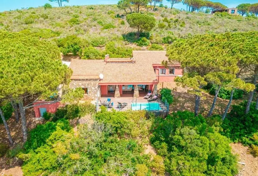 ホテル Tenuta Delle Ripalte