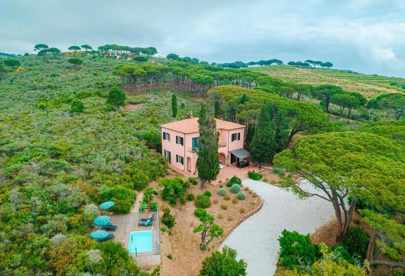 酒店 Tenuta Delle Ripalte