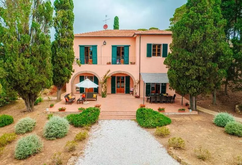 ホテル Tenuta Delle Ripalte