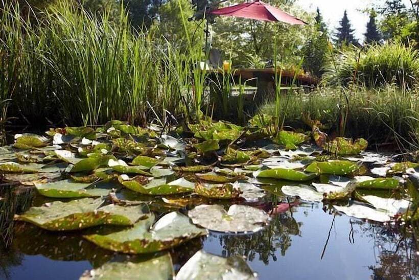 בית מלון כפרי Waldblick Deppe