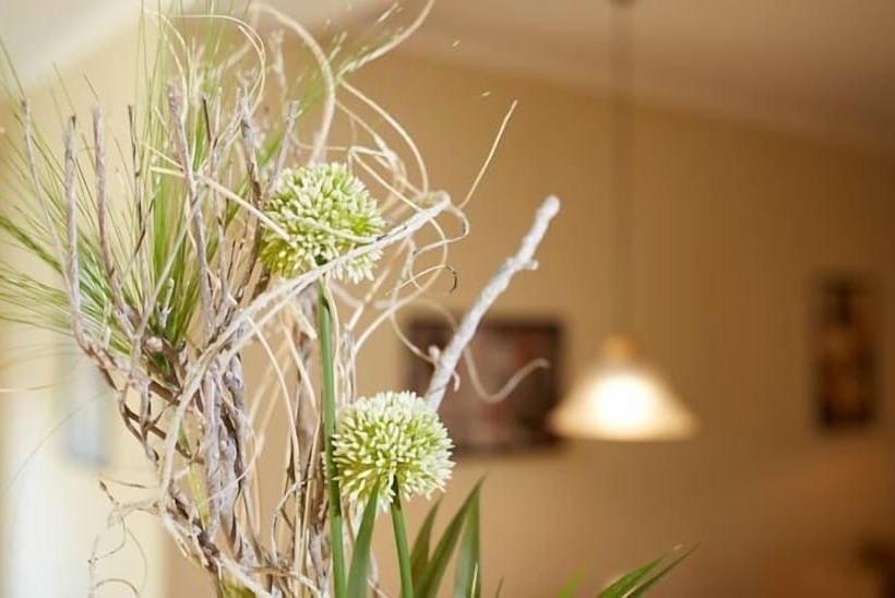 בית מלון כפרי Waldblick Deppe