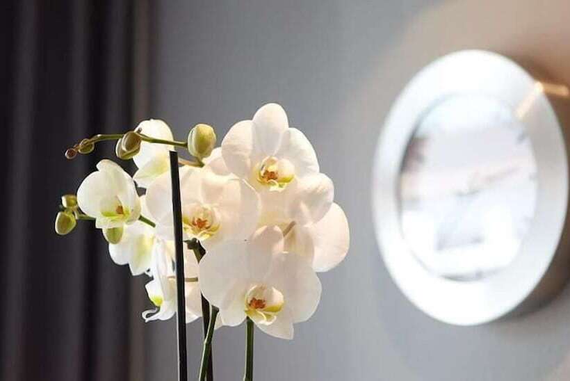 בית מלון כפרי Waldblick Deppe