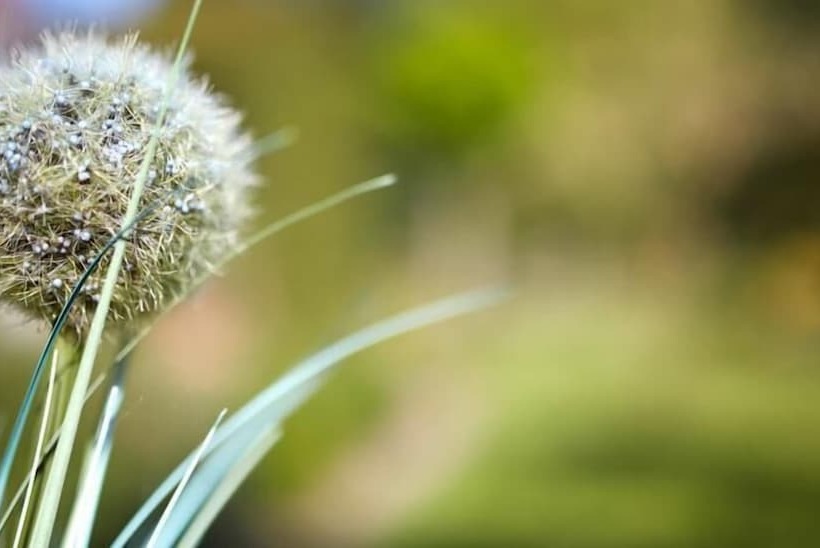 בית מלון כפרי Waldblick Deppe