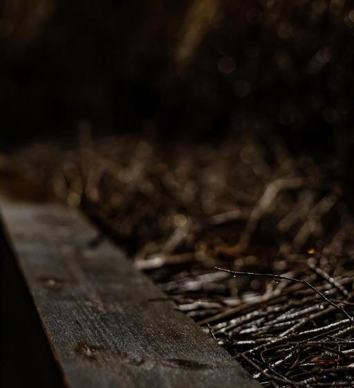 Prawdzic Family Resort & Wellness